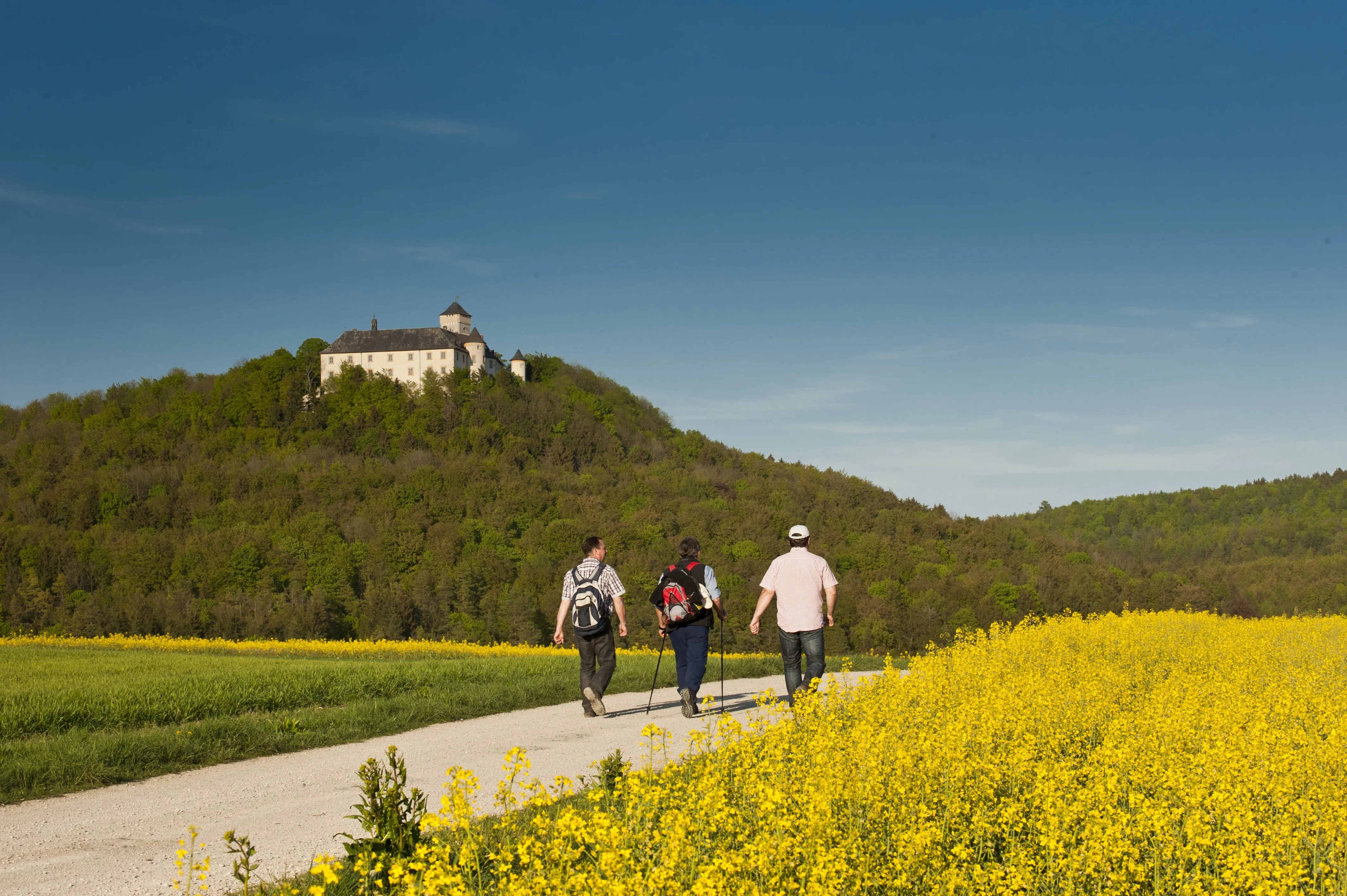 Wandern im Bamberger Land